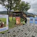 아이터어린이집 이미지