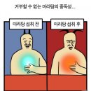 마라탕멘보샤훠궈 이미지