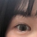 안경사랑신정점.위드렌즈 네이버블로그