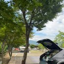 (주)동강 | 동강전망자연휴양림 10번데크 후기 명당자리 추천까지 데크뷰 여름 캠핑 너무 좋아요!