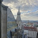 뮤직라이브 이미지