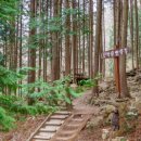 편백숲관광안내소 이미지