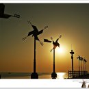 바람의바다 이미지