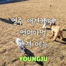 언더아멍 이미지