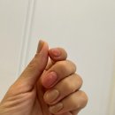 천안 불당동 네일아트 가을네일 네일그리미 후기