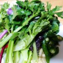 광준농장 이미지