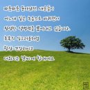 꽃다운 한 주 Daum카페