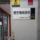 앤트헤어