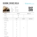 피터펫 이미지