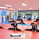 하남국술원합기도 이미지