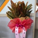 성원행정사사무소 이미지