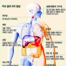 신비코 이미지