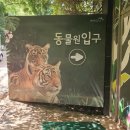 가창로 | [대구 아이랑] &#34;네이처파크&#34; 동물원🐆🐎🐑🐇