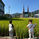 곡성하송 이미지