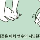 인형의 거리(쥐) 이미지