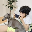 아티그너 이미지