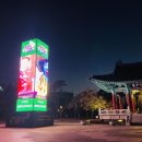 컬러풀대구세계인축제 더쎈뉴스