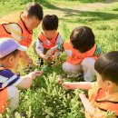 깨비소풍도시락 | 주말 아이와 가볼만한곳 하남 나무고아원 숲체험 깨비의숲마을 후기