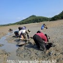 충남 귀어학교,13기 교육생 모집 이미지