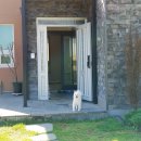 댕댕이 하우스 이미지