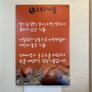 원도토리마을