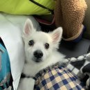 인제 아리캠핑장 이미지