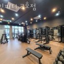 피티나인 이미지
