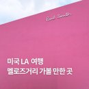 LA 여행 가볼 만한 곳 :: 멜로즈 거리 (글로시에, 폴스미스 핑크월, 핑크 핫도그, 주차 미터기)