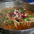 고흥상회 Daum카페