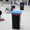품태권도장 이미지