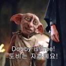 도무지 | 에세이 『넘어지면 어때, 툭툭 털고 일어나면 되지』 By 도무지, 북토크 후기 Feat. 도비 is Free