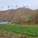 사연농장 이미지