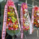 벽창호인테리어 이미지