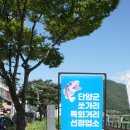 단양 강천쏘가리 이미지