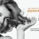 촘촘 스칼프 이미지