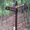 공지산 둘레길 이미지