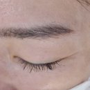 수원-1914 | 매탄동속눈썹 한 달 지나도 깔끔했던 진짜 솔직 후기