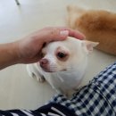 욜로호텔 이미지