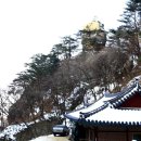 역삼-1288 이미지