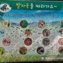 직전마을 이미지