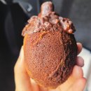 제주 빵지순례 2탄 건강한 비건 베이커리 서귀포 빵집 빵사계 후기