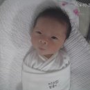 벨롱베베