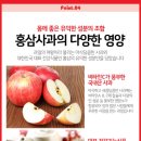 성안유통 이미지