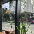 돈테일러익스프레스 네이버블로그