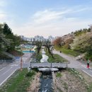 황새울공원 내 이미지