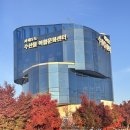 대청도혁이네 : 인천 서구 시천동 - 아라뱃길회센터 가성비횟집