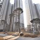 고덕그라시움아파트 티스토리