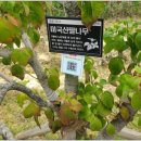 숲속버스킹 | 울산숲 직업과 커뮤니티 페스티벌, 문화버스킹 송정구간 다녀온 후기