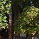 남도농장 이미지