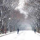 [겨울여행추천지] 눈내린 인천대공원 이미지